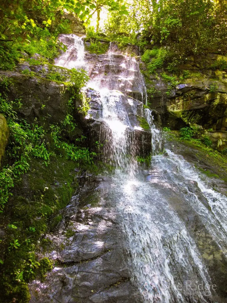 Hen Wallow Falls