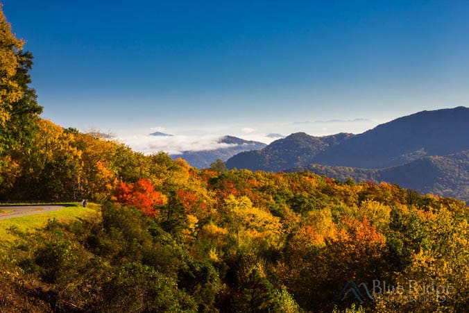 Fall Foliage