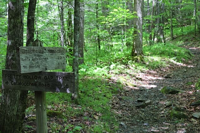 Pretty Hollow Gap Trail - Cataloochee Valley