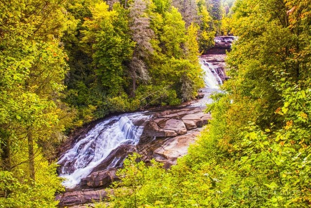 Dupont State Forest Waterfalls Trail