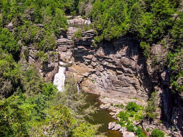 are dogs allowed at linville falls