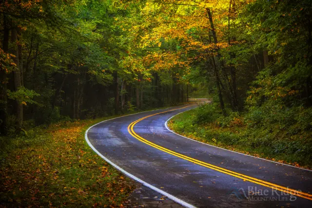 National Forest Scenic Byway