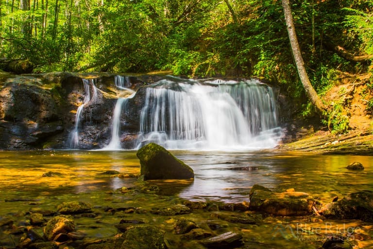 Top 18 Pisgah National Forest Hiking Trails