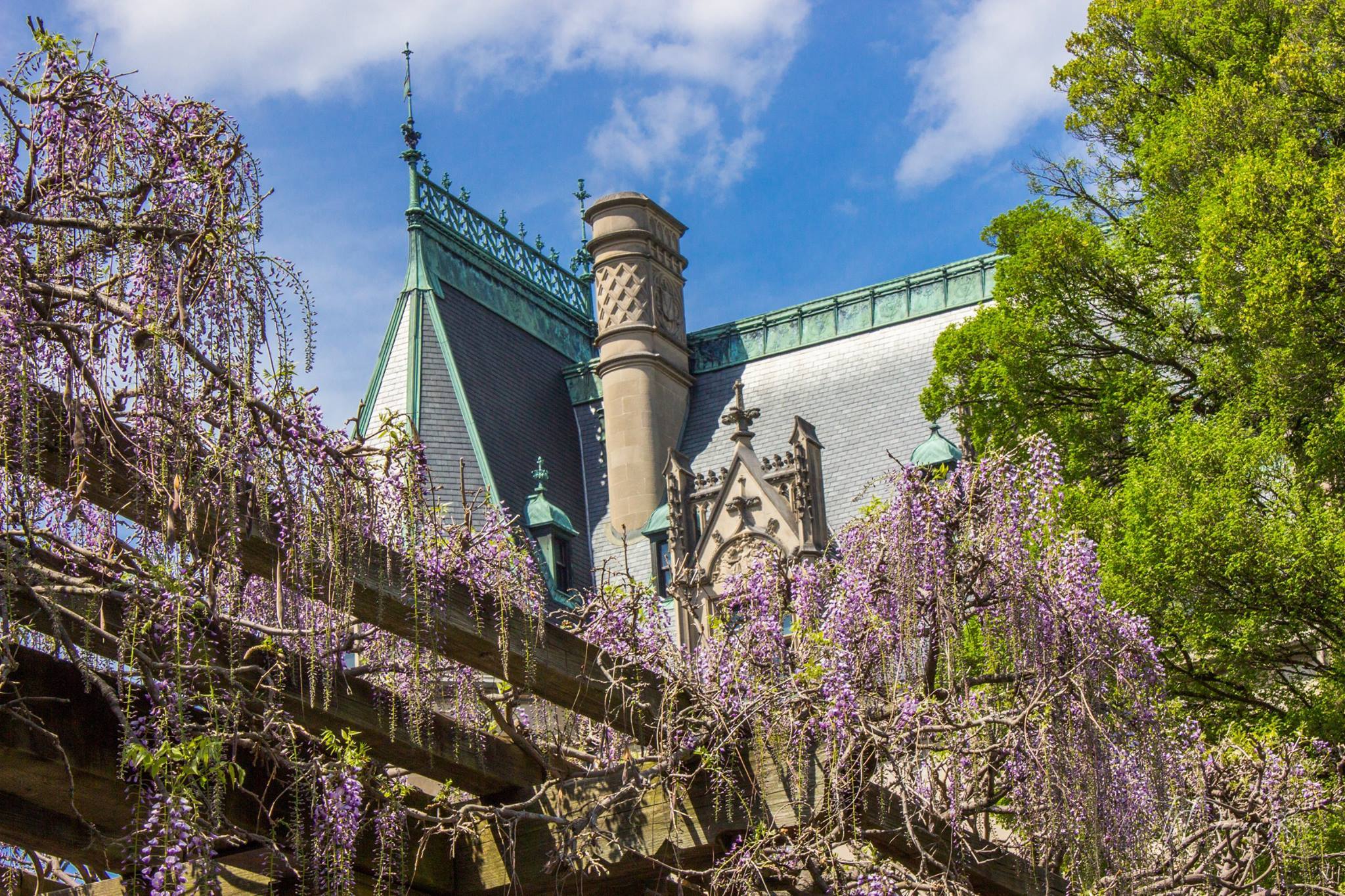 Biltmore BloomsSpring Flowers at Biltmore Gardens (2024) Blue Ridge
