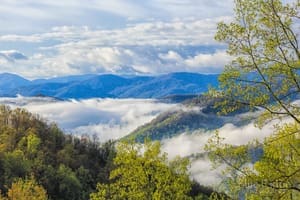 Spring in the Blue Ridge