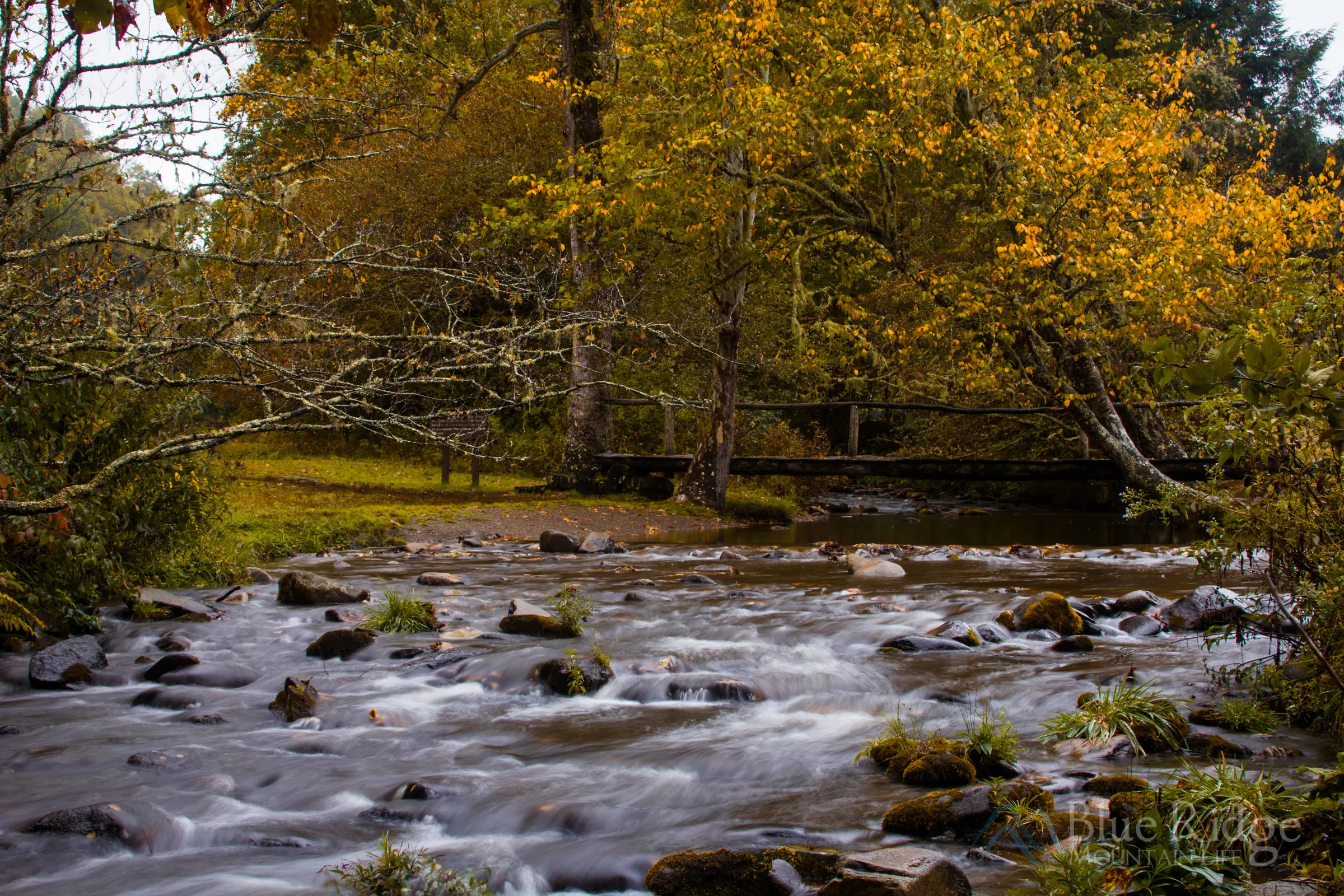 Cataloochee Fly Fishing