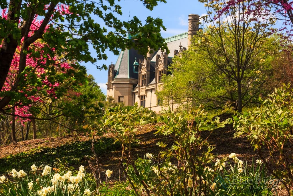 Savor spring with the Biltmore Blooms Frosted Wine Glass