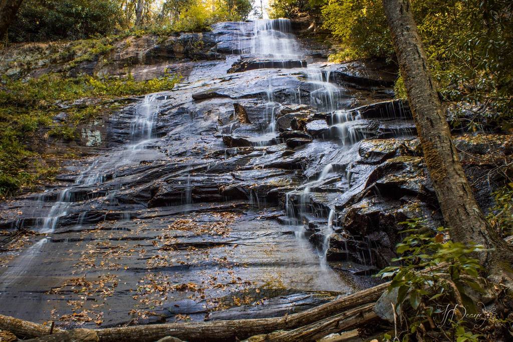 Top 18 Pisgah National Forest Hiking Trails