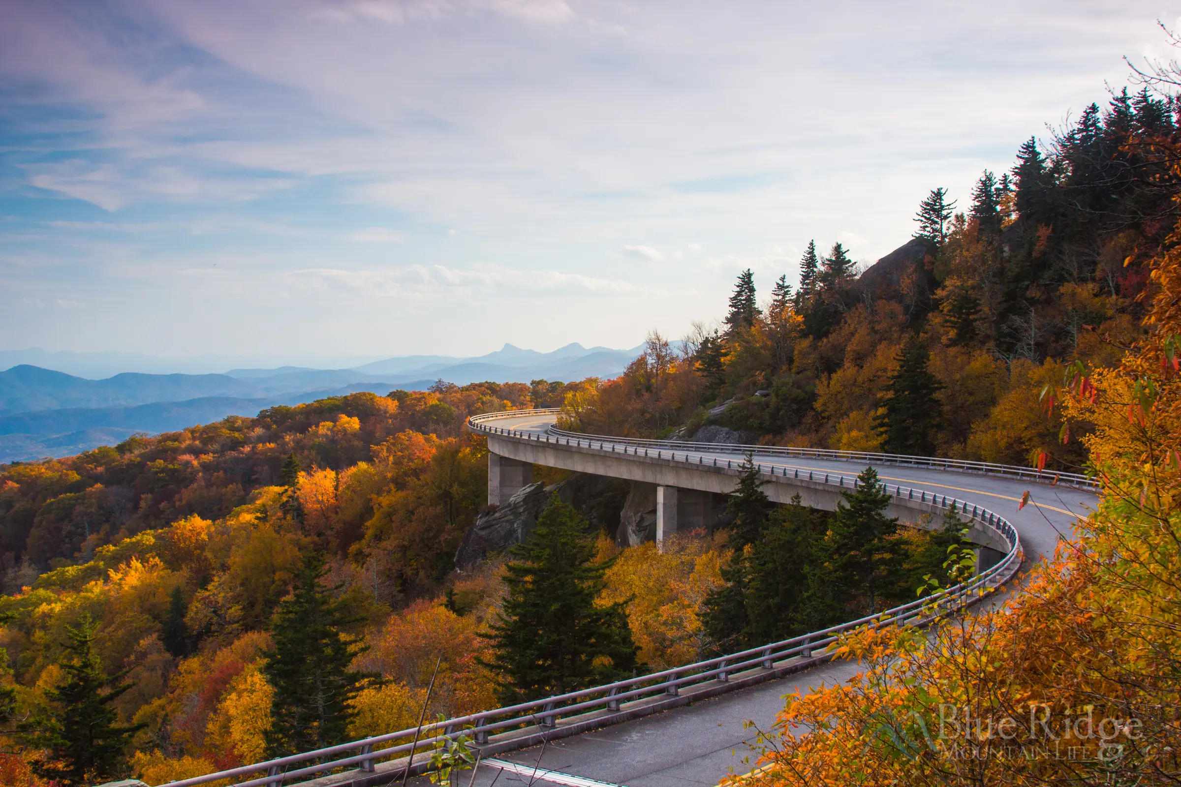 Fall Color at Linn Cove Viaduct