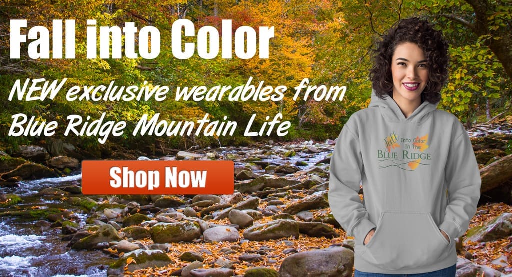 Blue Ridge Parkway – Top 22 Best Stops for Fall Color