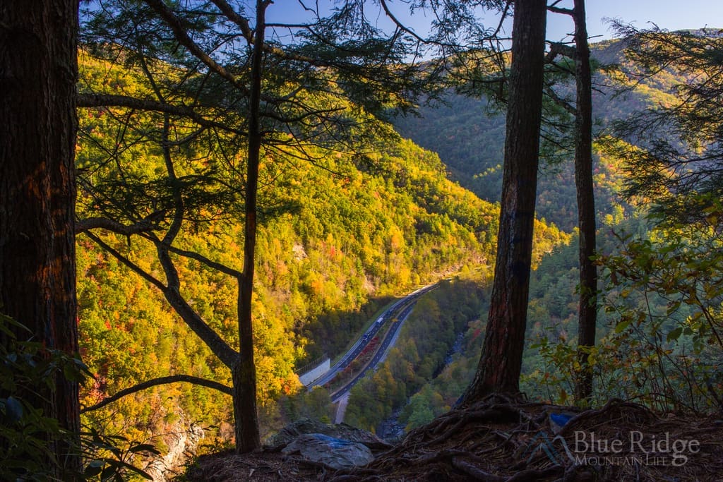 Buzzard’s Roost North Carolina