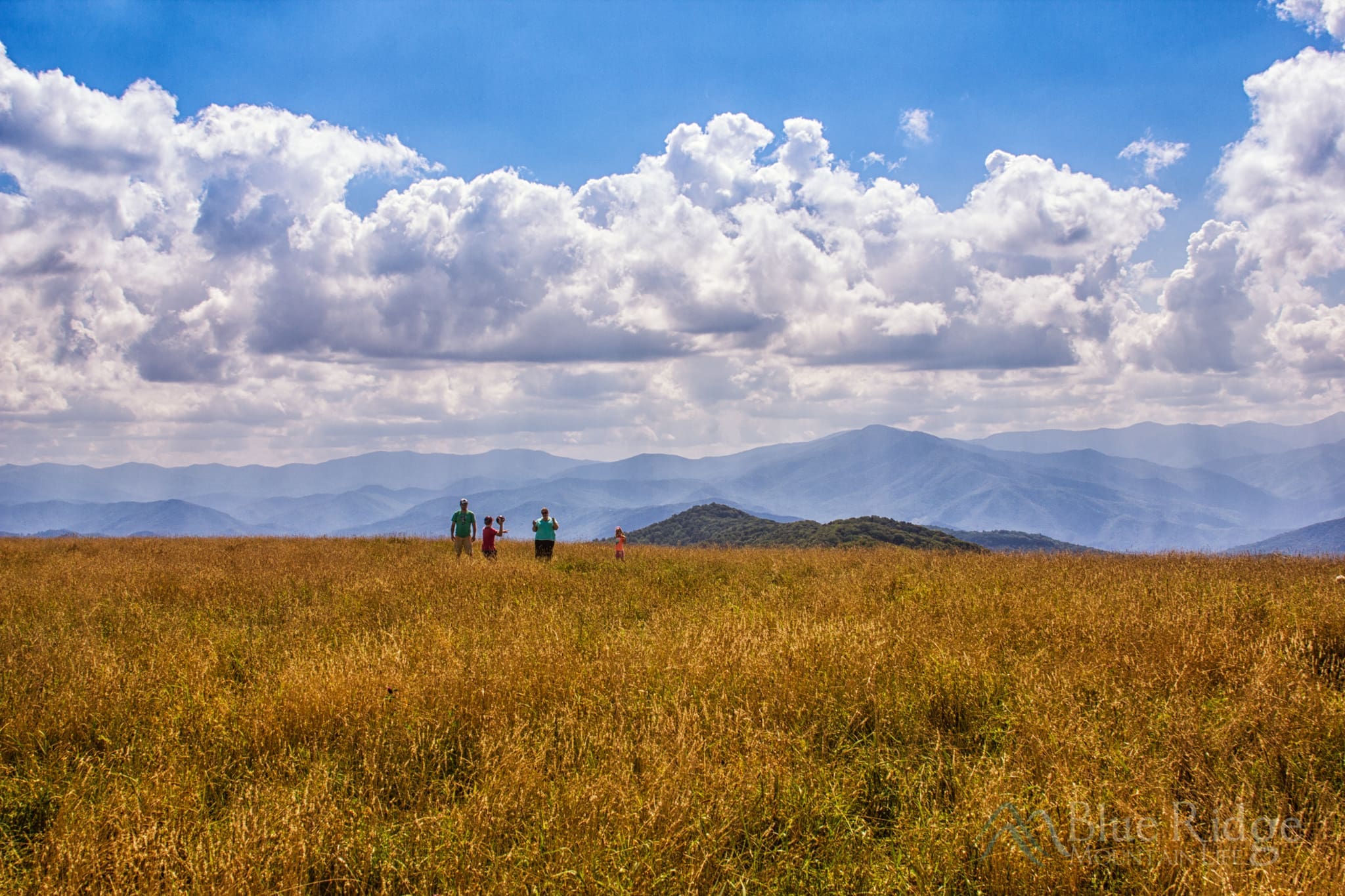 Max Patch Hiking Hot Springs, NC