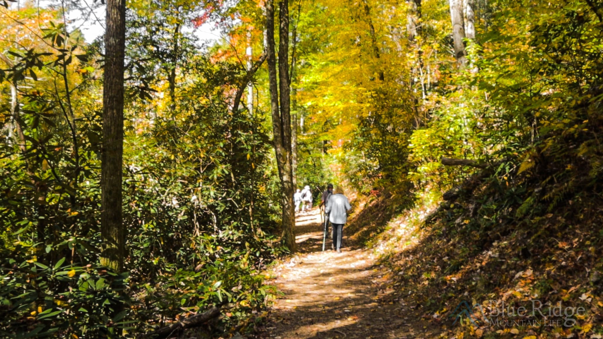 Cades Cove Guide Blue Ridge Mountain Life