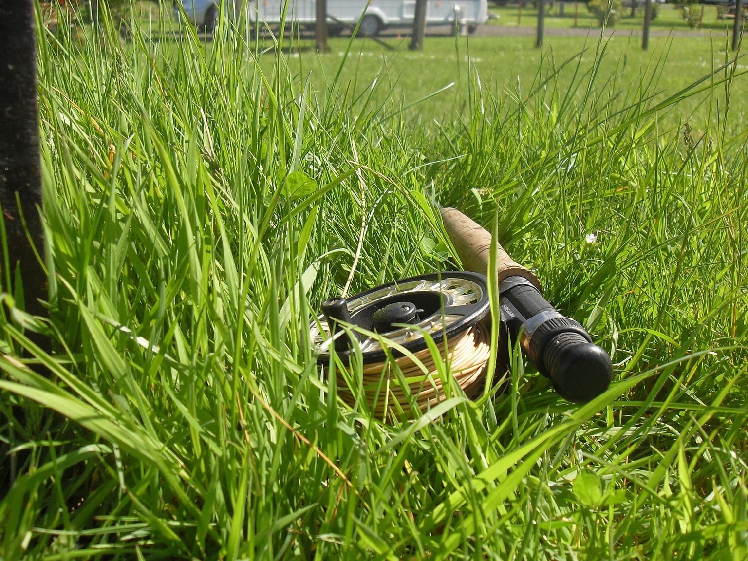 Fly Fishing for Beginners A Complete Guide