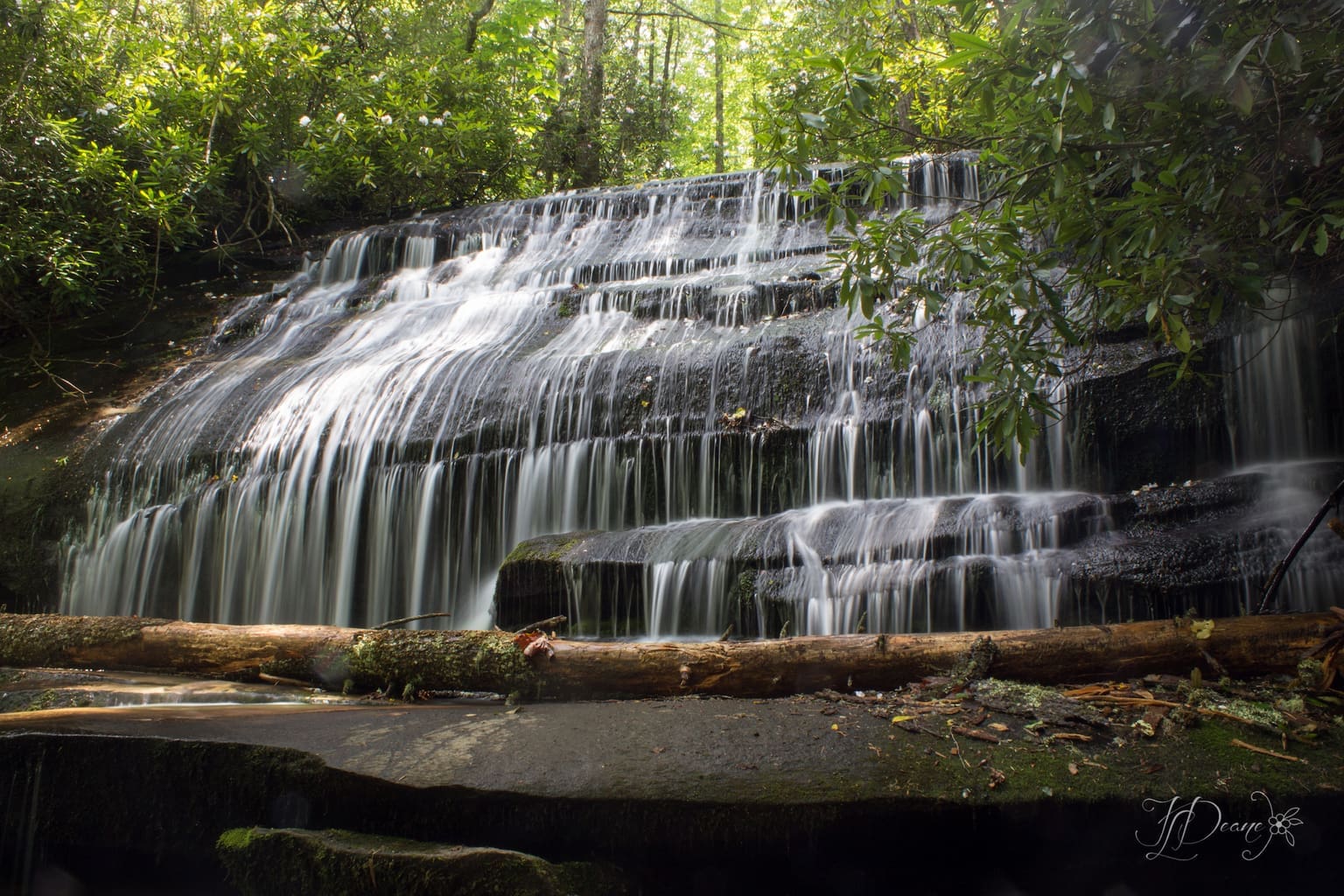 Grogan Creek Falls