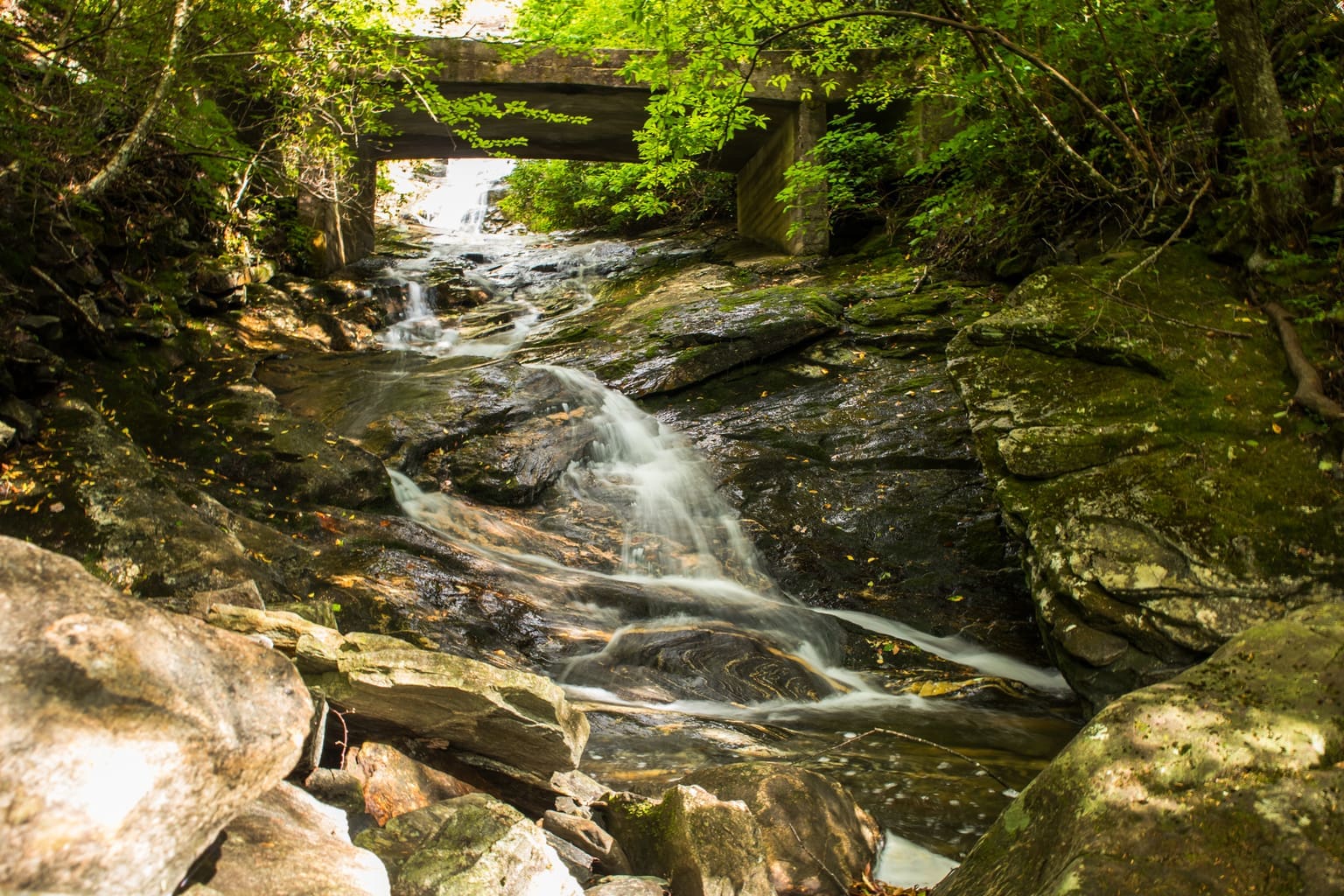 Top 18 Pisgah National Forest Hiking Trails