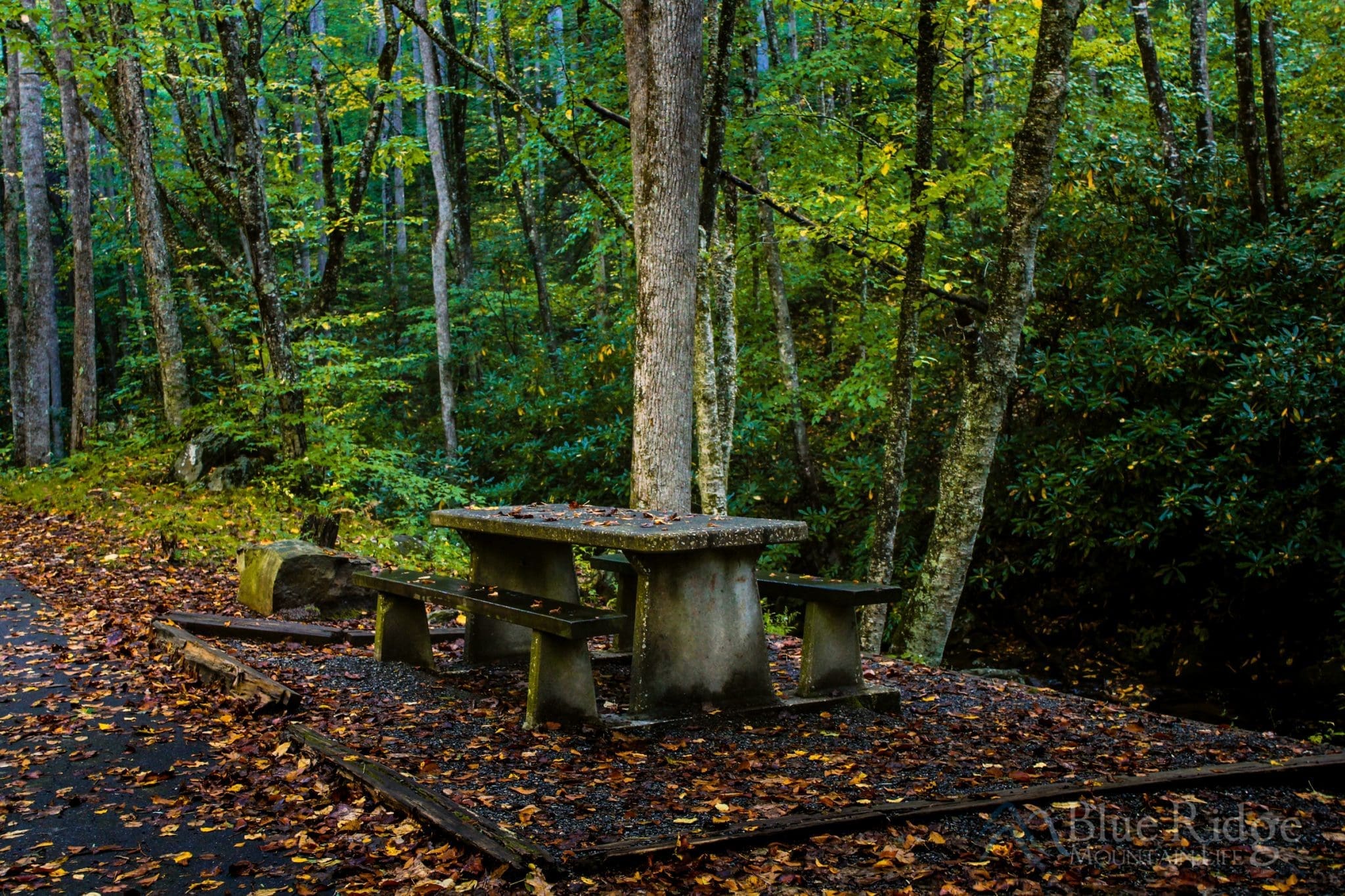 Top 20 Picnic Spots in the Blue Ridge Mountains