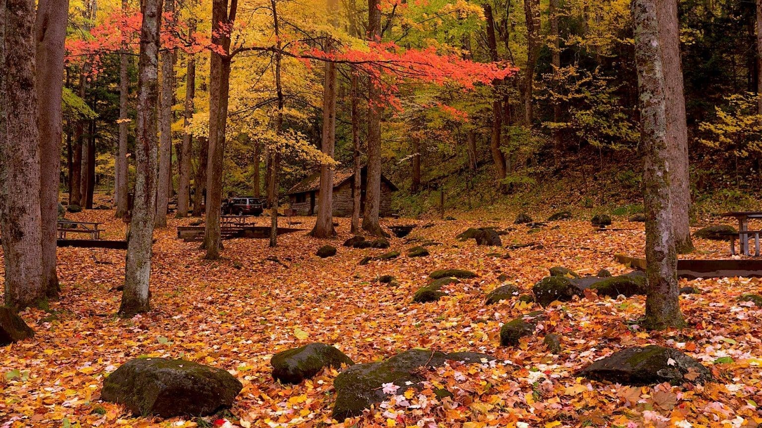 Top 20 Picnic Spots in the Blue Ridge Mountains