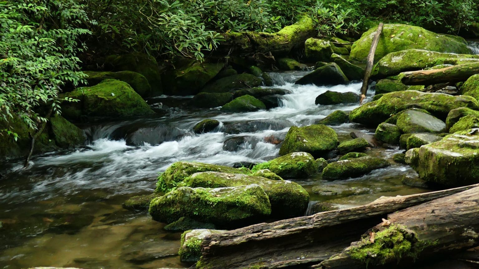 Top 20 Picnic Spots in the Blue Ridge Mountains