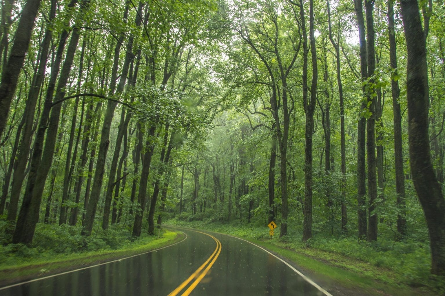 Skyline DriveVirginia