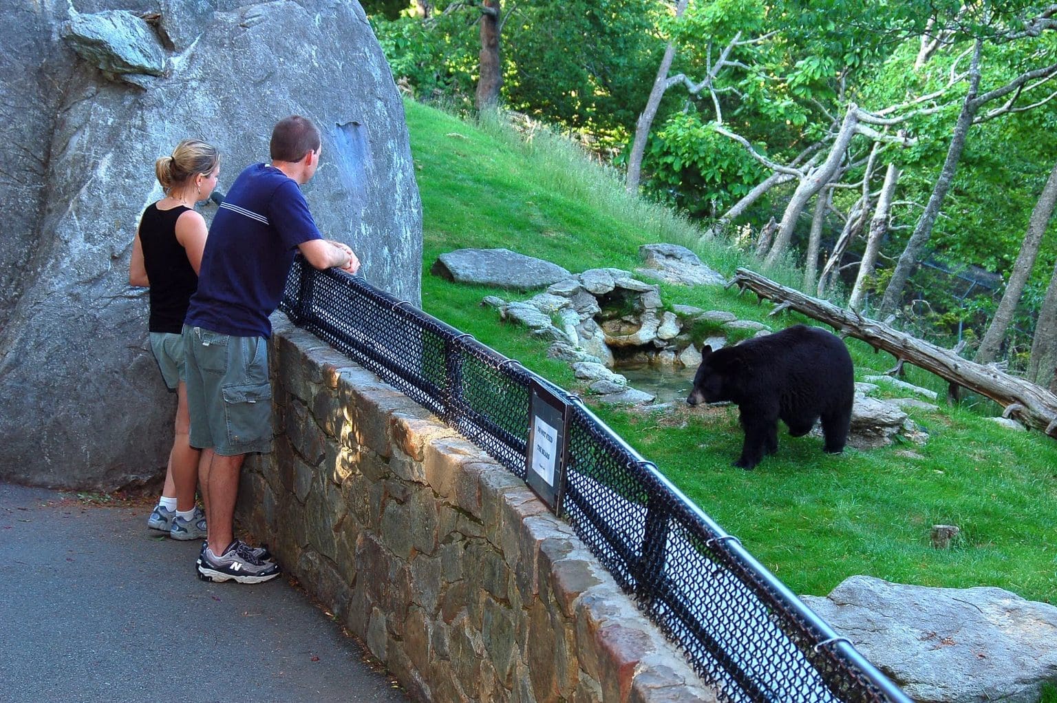 Grandfather Mountain NC Blue Ridge Mountain Life