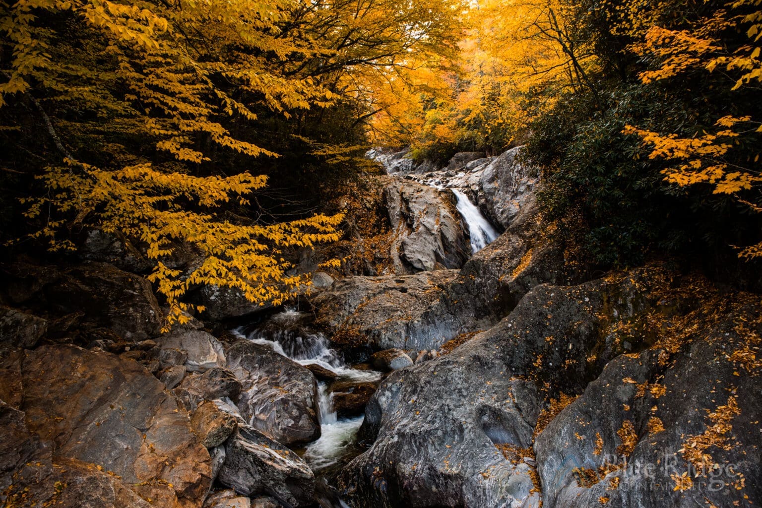 Fall Foliage 2022 Forecast and Guide - Blue Ridge Mountain Life