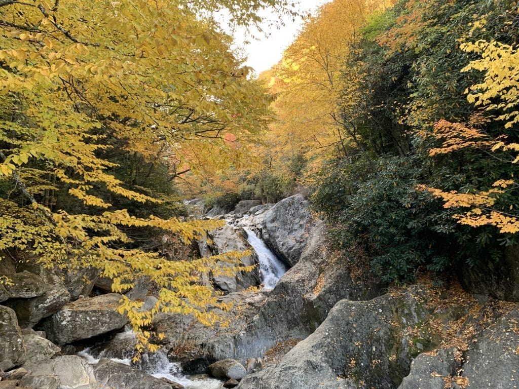 Wheelchair Accessible Waterfalls Guide Blue Ridge Mountain Life