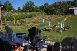 21+ Best Things to Do in Ellijay, GA