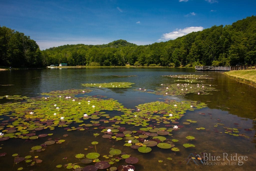 21 Things to Do in Banner Elk NC (2024)