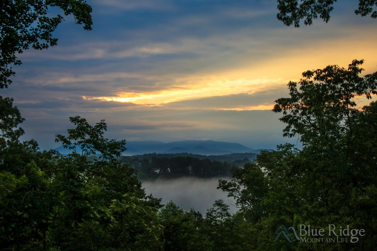 21+ Best Things to Do in Ellijay GA Experience the Charm