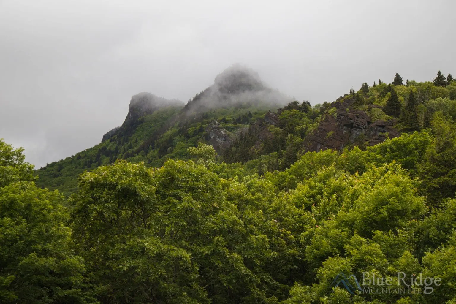 21 Things to Do in Banner Elk NC (2024)