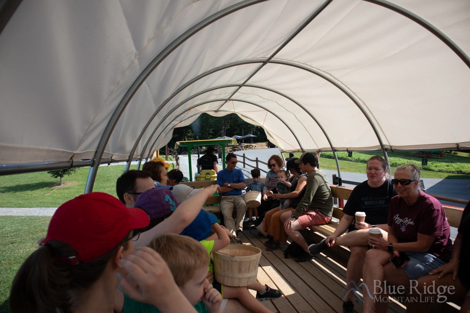 11 Best Apple Orchards in the North Carolina Mountains