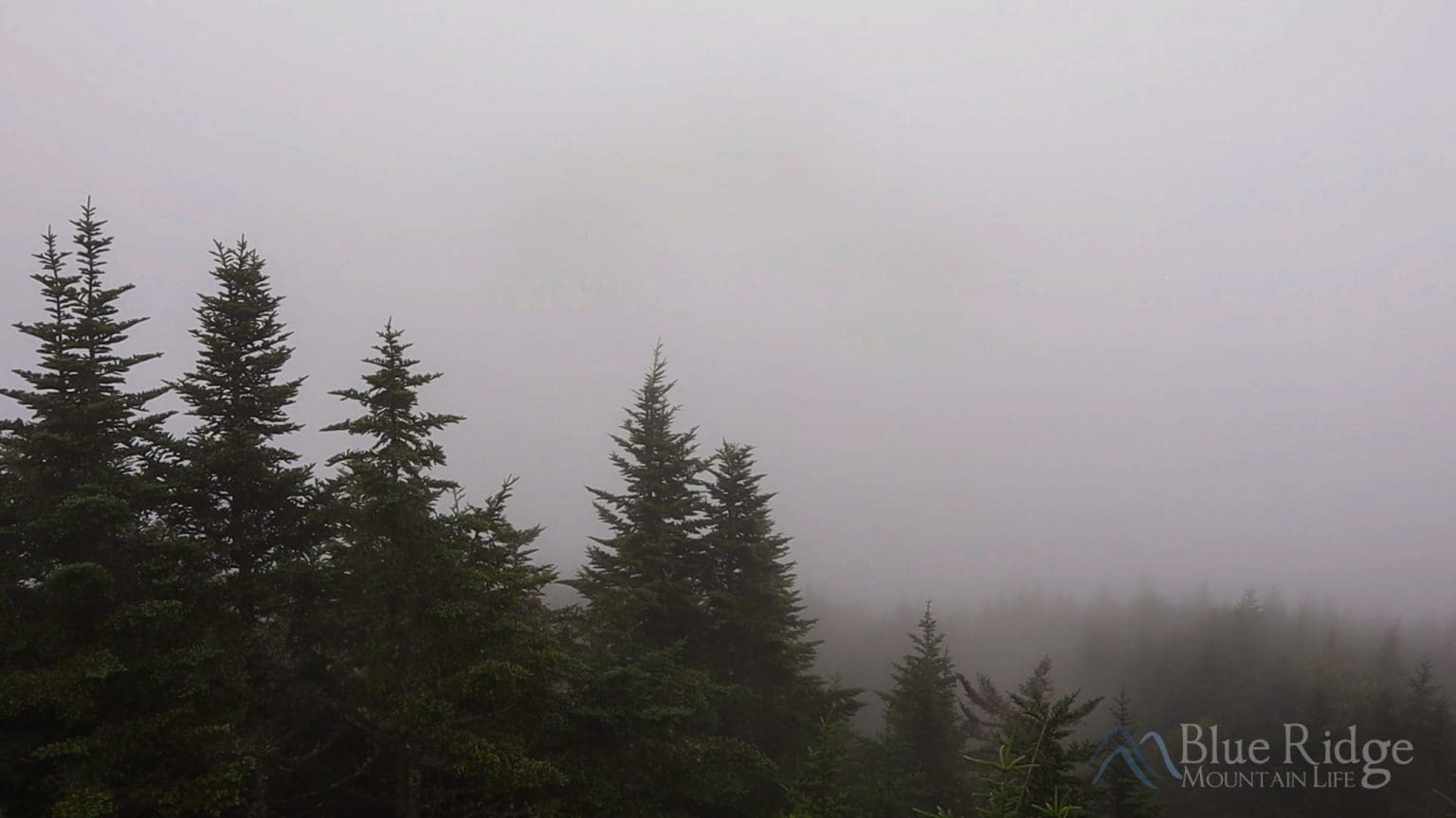 Burnsville NC Travel Guide Blue Ridge Mountain Life