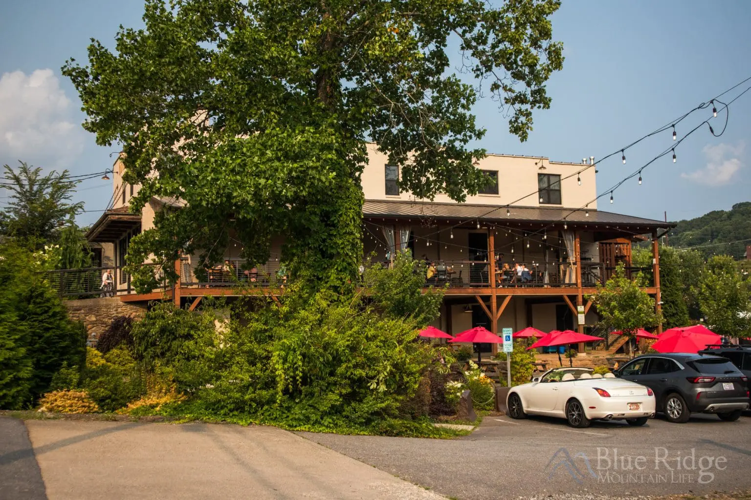 7+ Best Restaurants in Burnsville NC