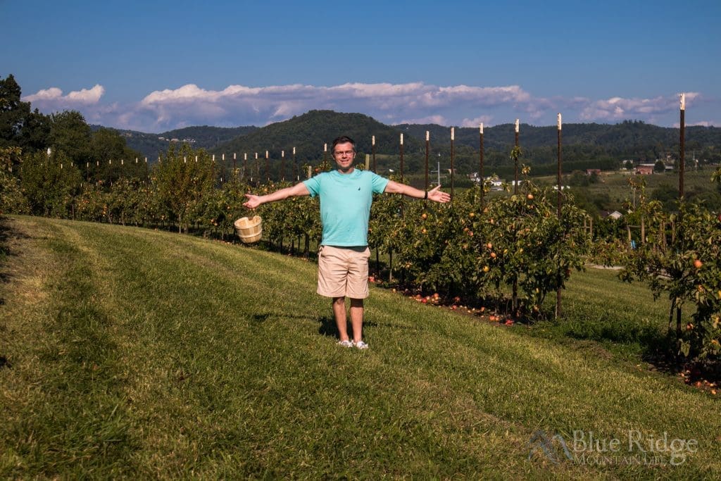 8 Best Apple Orchards in Hendersonville NC