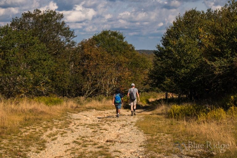 Fall Colors and Foliage Guide 2023 - Blue Ridge Mountain Life