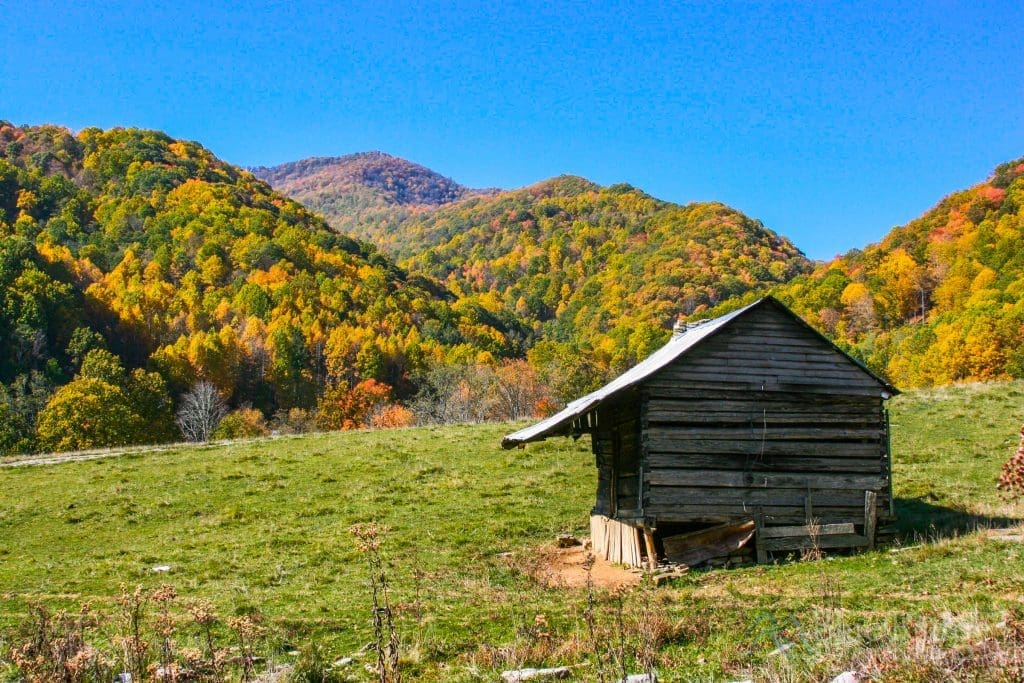 Fall Colors in North Carolina 15 Best Places (2024)