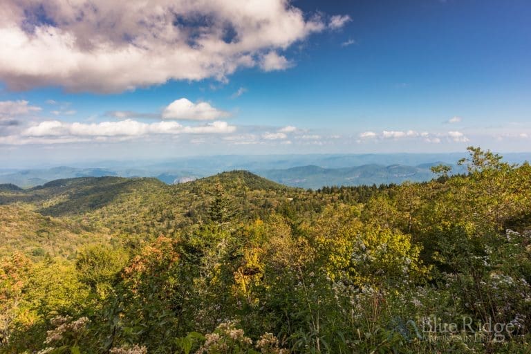 Fall Colors and Foliage Guide 2023 - Blue Ridge Mountain Life
