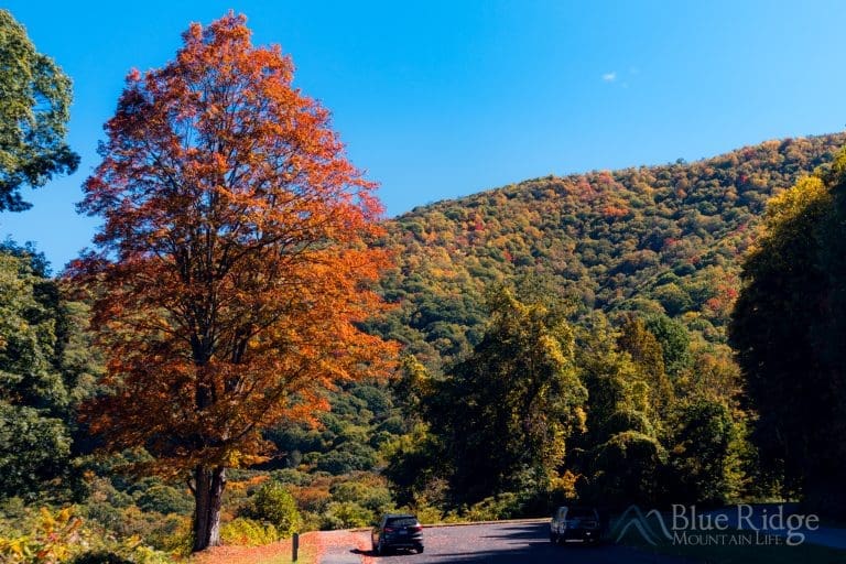 Fall Colors and Foliage Guide 2023 - Blue Ridge Mountain Life