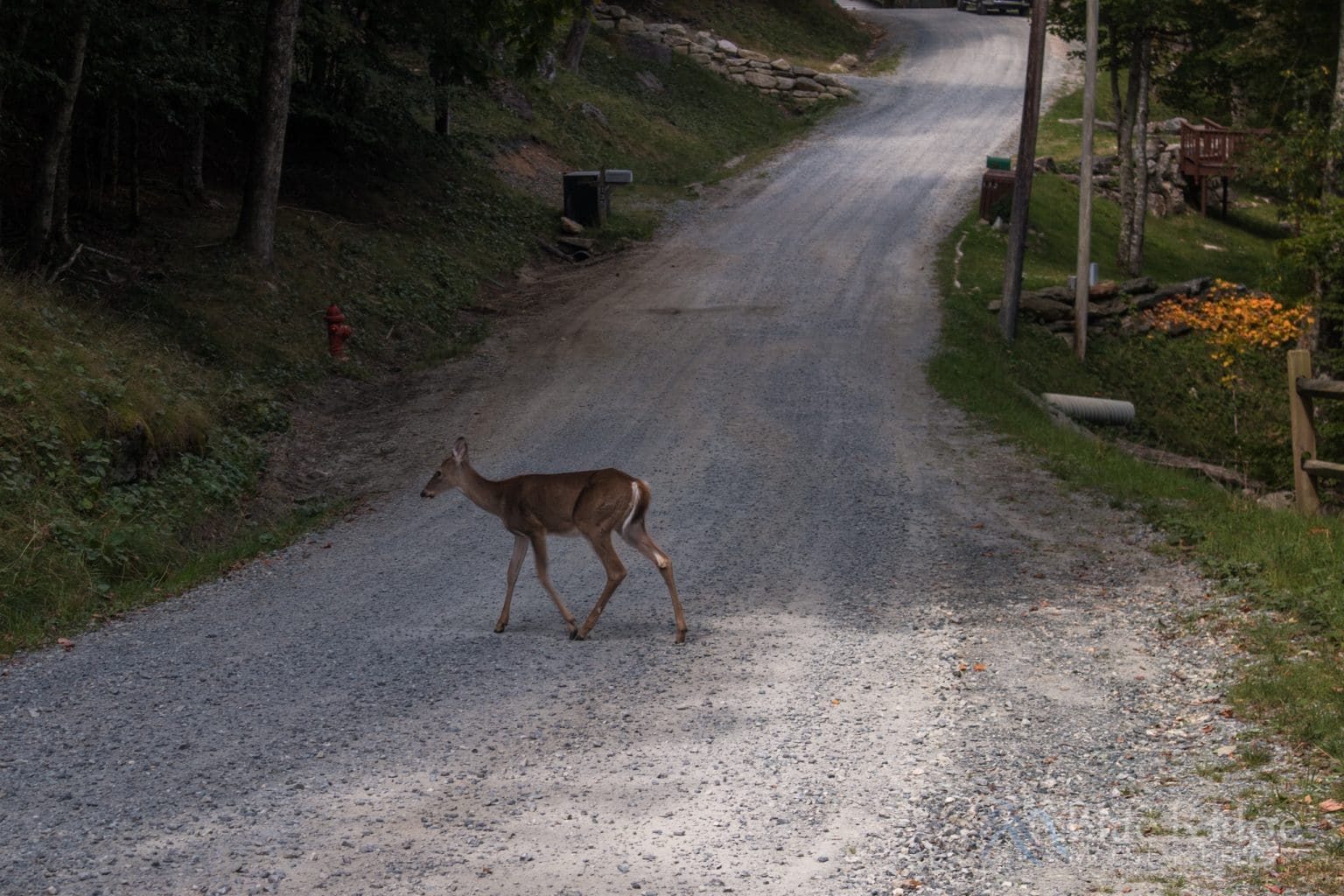 Rays Weather Beech Mountain Nc Forecasting