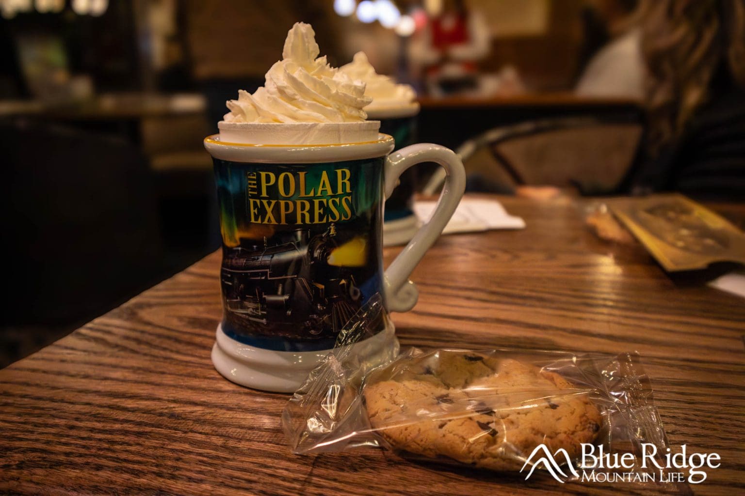 Polar express train ride in bryson city nc