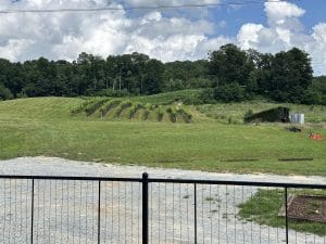 IMG_1869