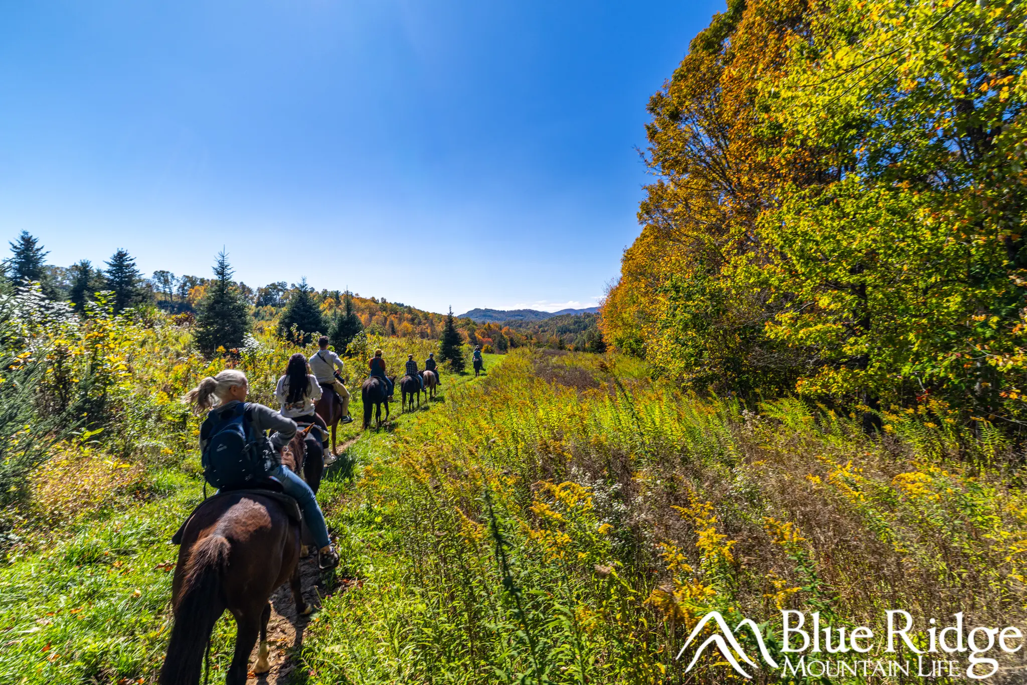 Horseback Riding at Elk Mountain Riding Company in Banner Elk, NC Horseback Riding at Elk Mountain Riding Company in Banner Elk, NC