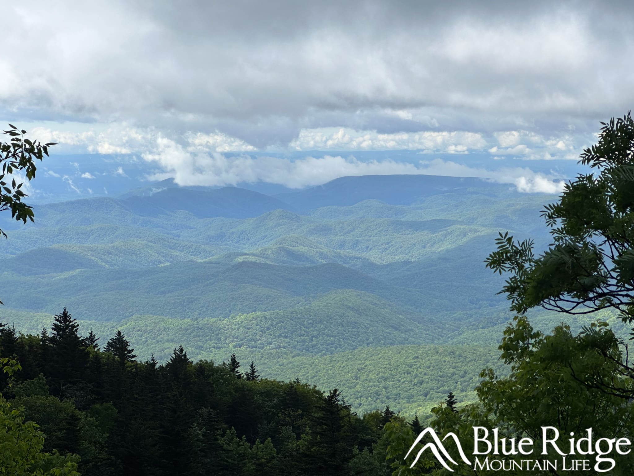 Grandfather Mountain Trail Grandfather Mountain Trail