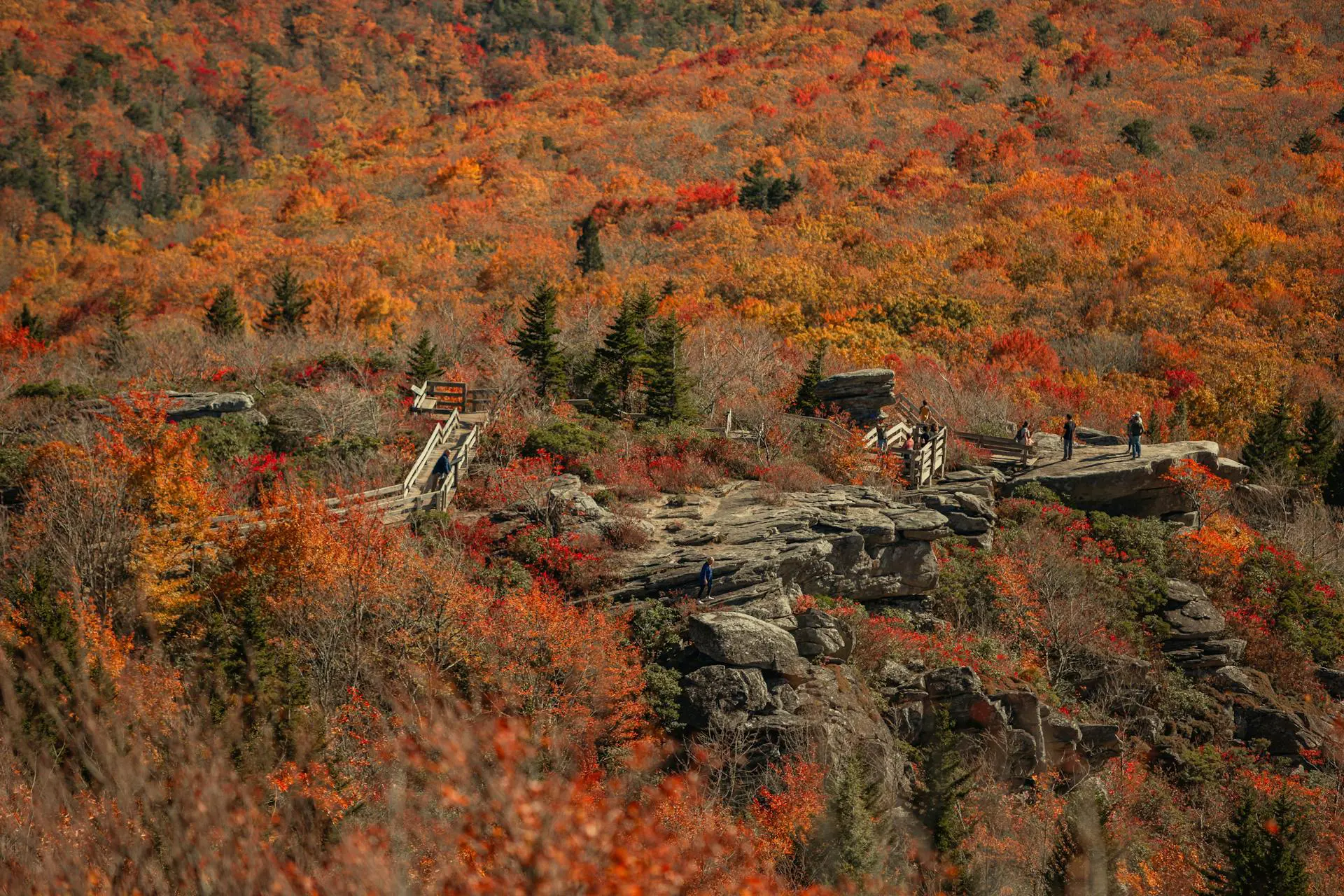 rought Ridge Trail, Blue Ridge Parkway rought Ridge Trail, Blue Ridge Parkway