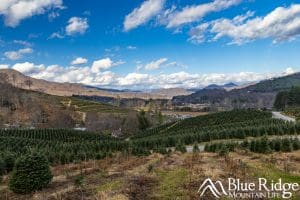 Boyd Mountain Christmas Tree Farm