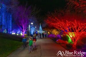 Winter Lights at the NC Arobortetum