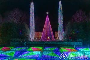 Winter lights Quilt Garden