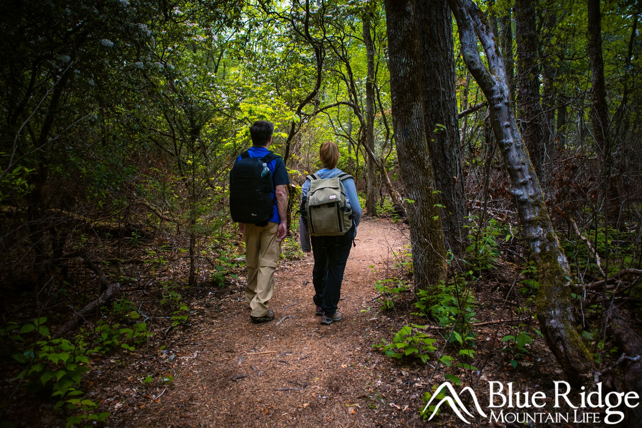 Larry and Jenn on the trail in Pisgah National Forest Larry and Jenn on the trail in Pisgah National Forest