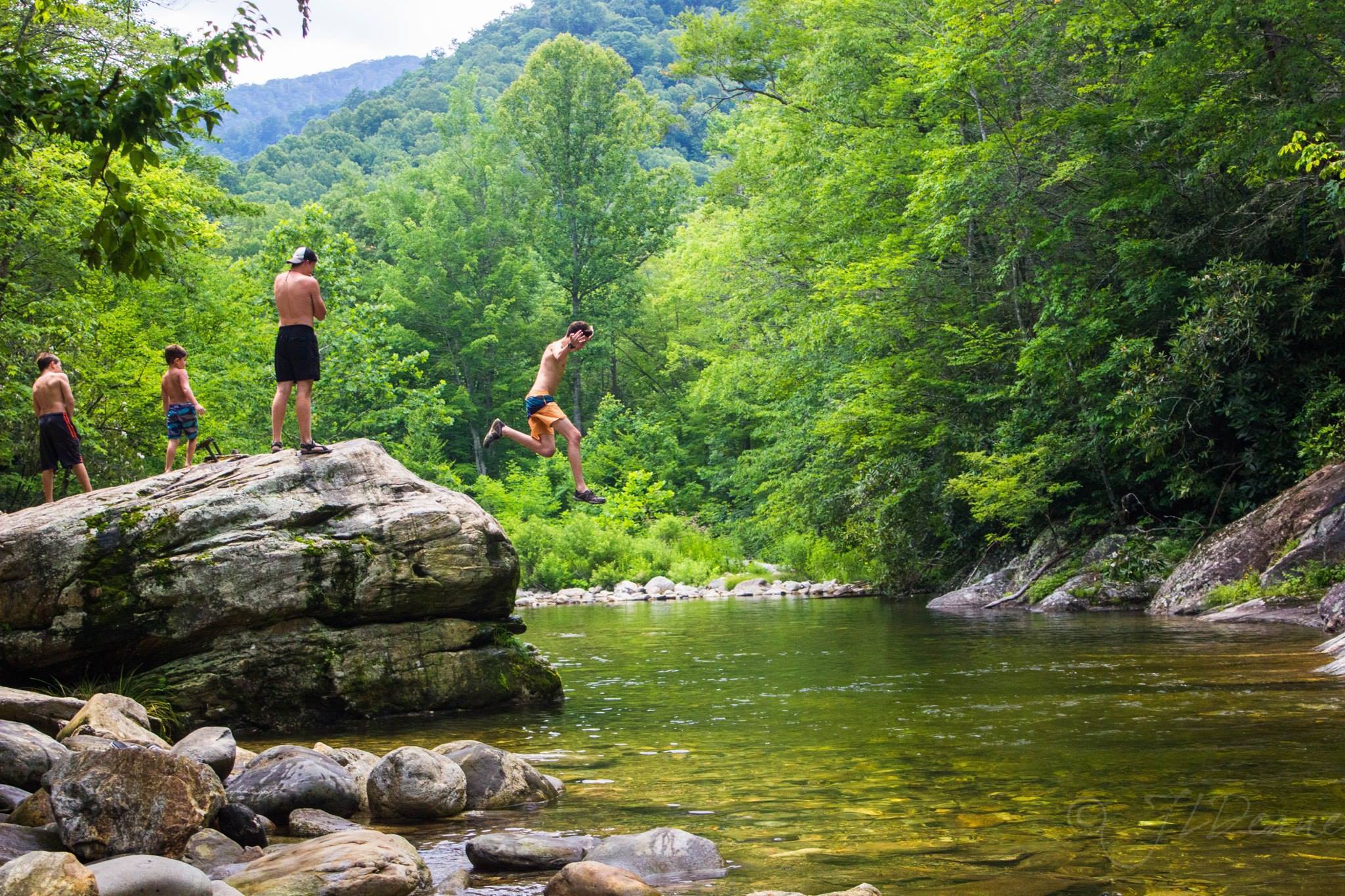 Summer in the Blue Ridge Mountains